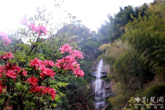 黃龍山頂，風(fēng)景如畫 黃錚 攝_副本.jpg.jpg