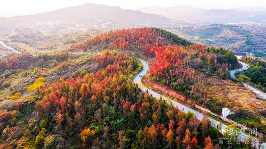 喻俊攝DJI_20251103164523_0082_D.jpg.jpg