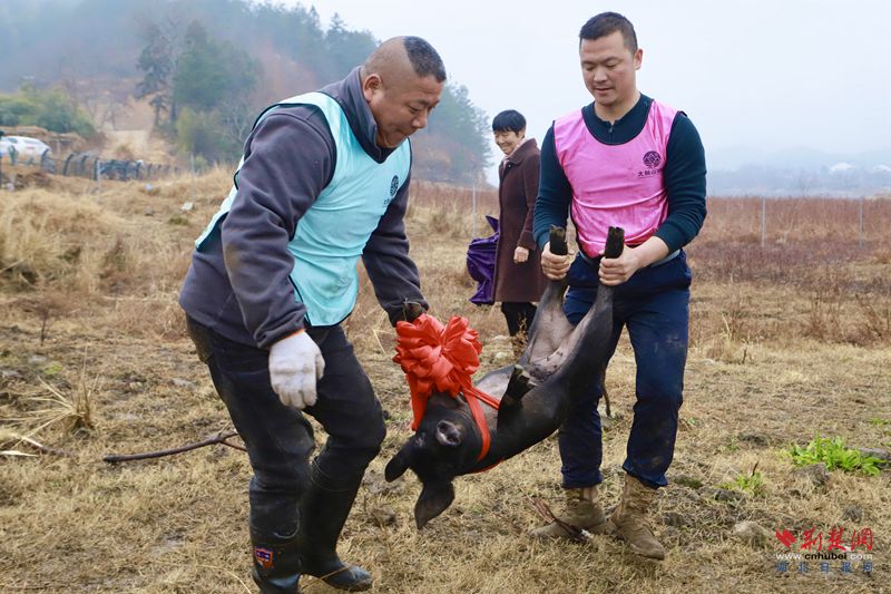 ad90b6761559b38d19b112d8e96cb4d0_副本.jpg