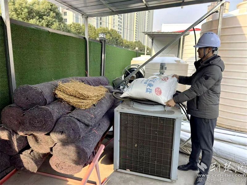 13.jpg.jpg