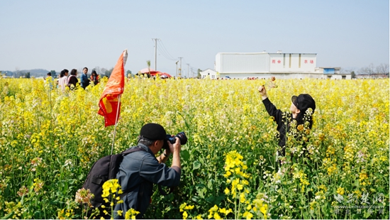 崇陽(yáng)賞花4.jpg