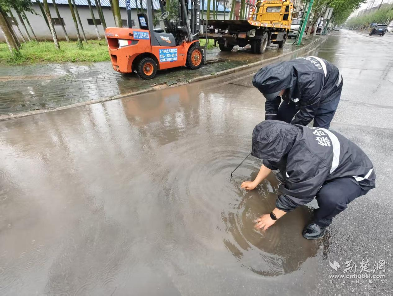 圖片33.png.png