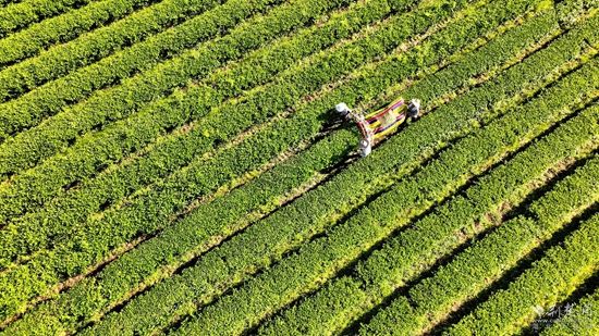 微信圖片_20260402085532_1085_1112.jpg.jpg